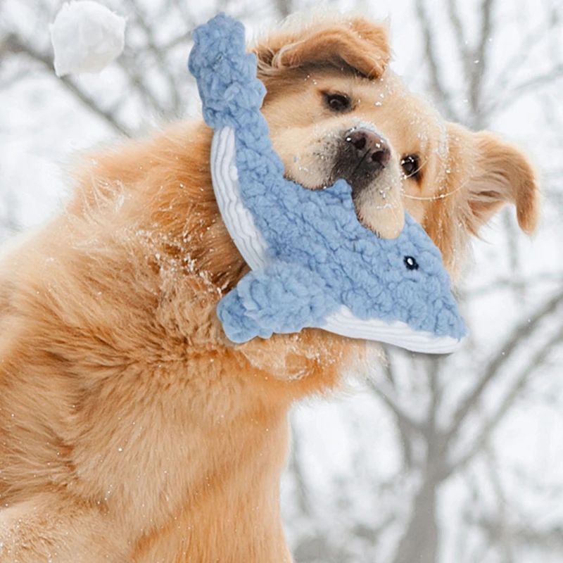 Bite Resistant Squeaky Toys