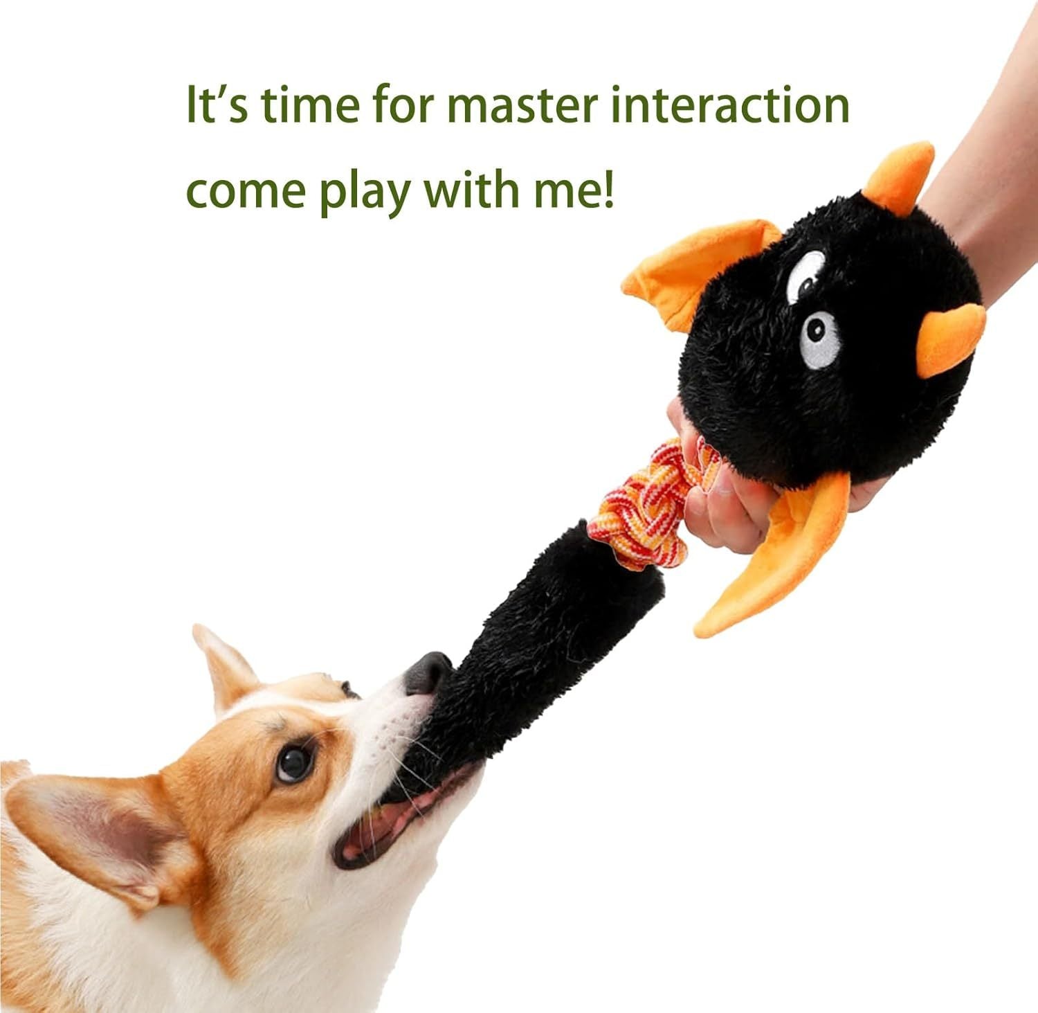 Plush Dog Toys Squeaky Dog Toys