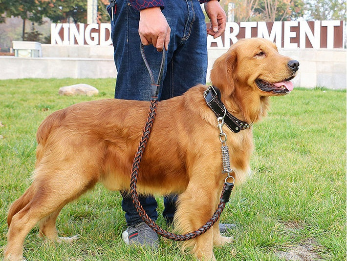 Chain Explosion-proof Punch Collar
