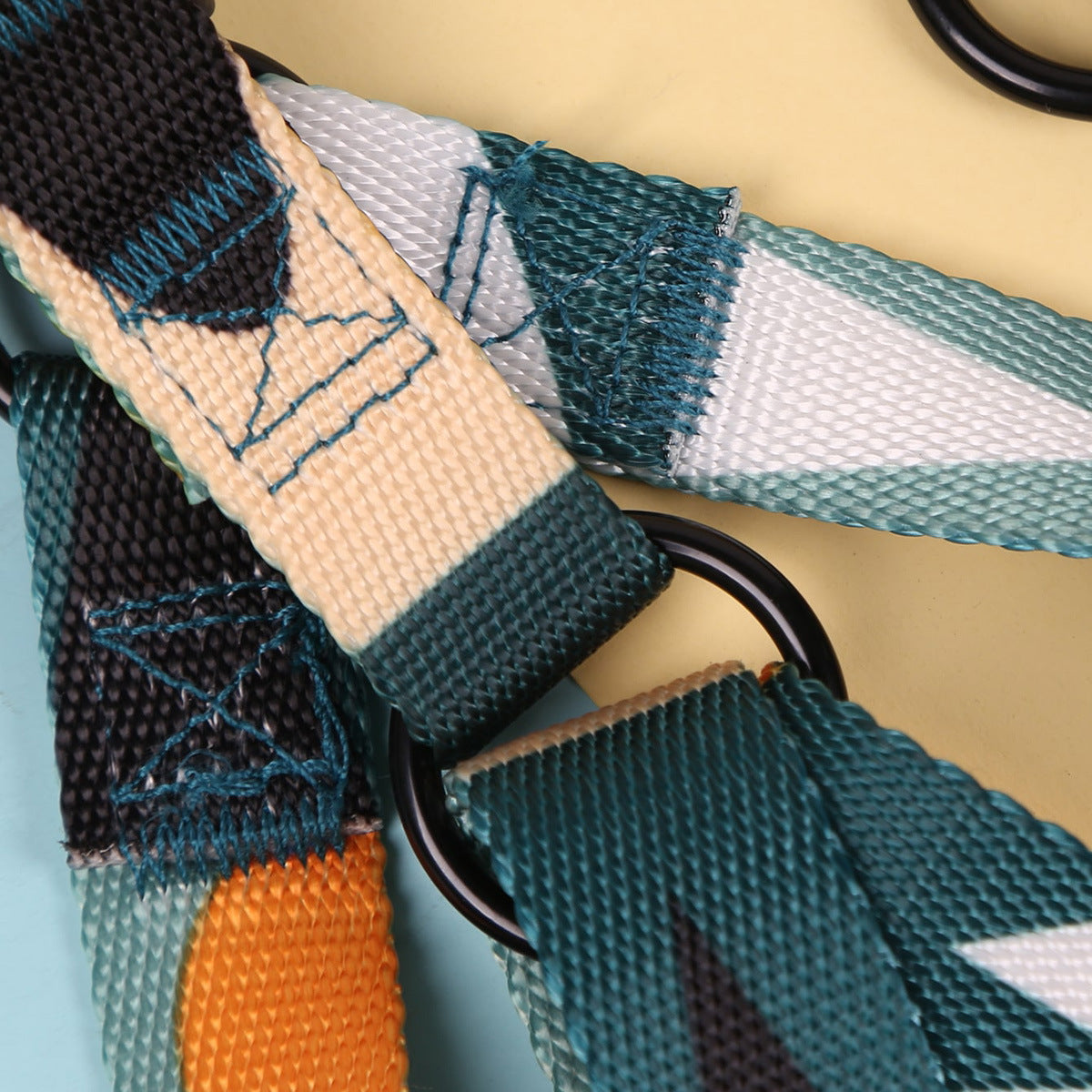 Hand Holding Outing Dog Leash