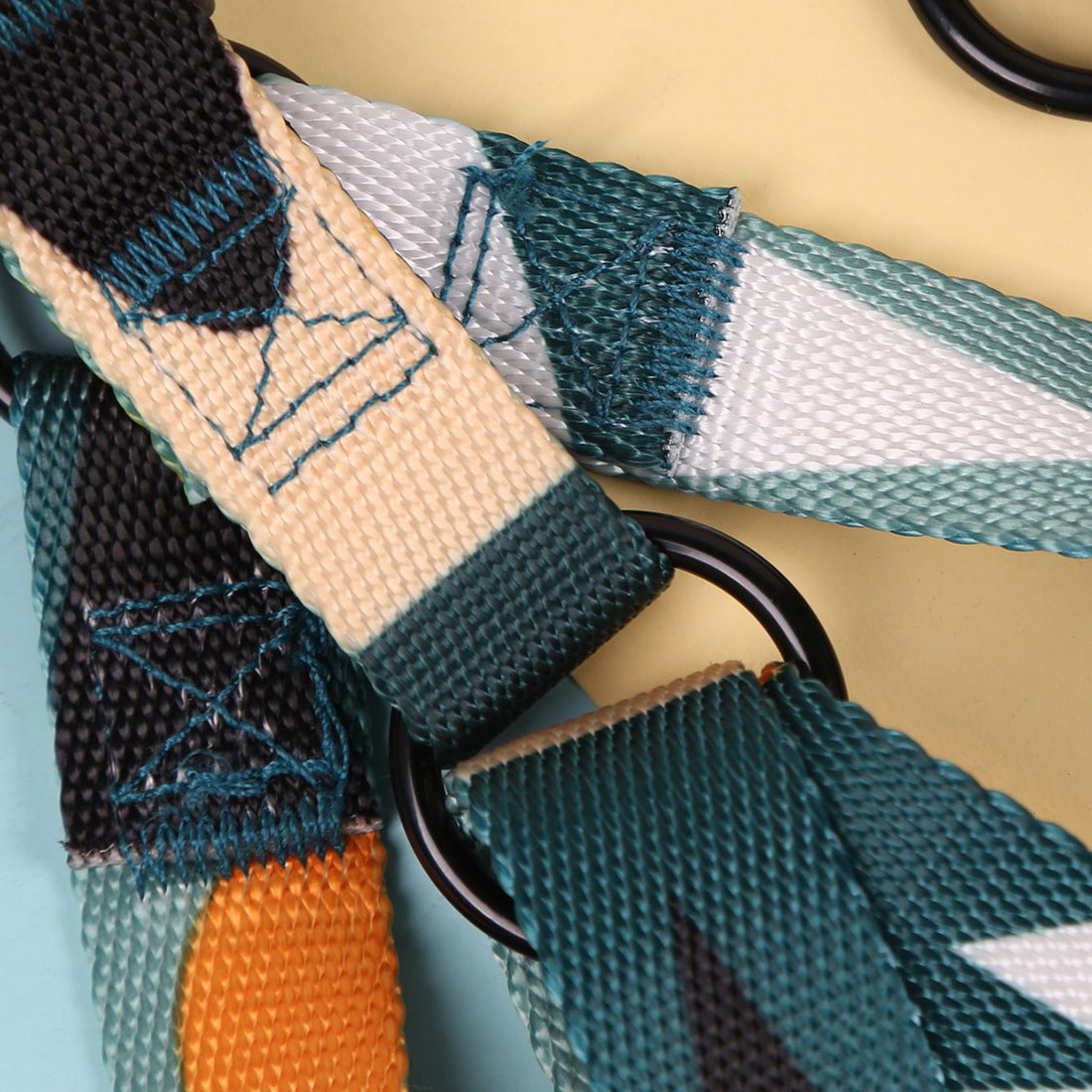 Hand Holding Outing Dog Leash