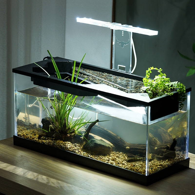 Lighting Integrated Lazy Aquarium