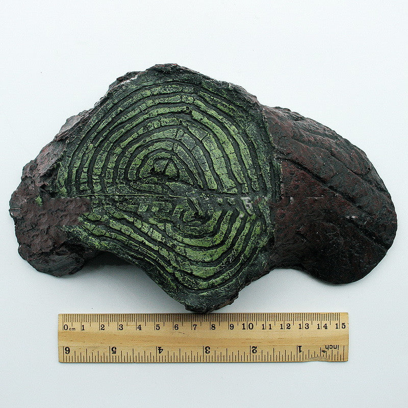 Reptile Supplies Climbing Rockery Balcony