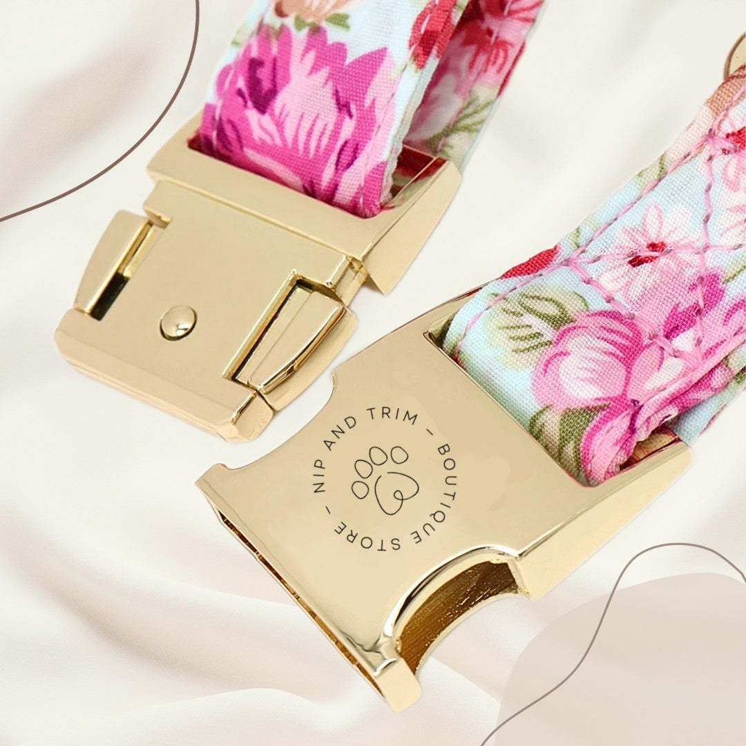 Dog Collar Lettering Identity Card