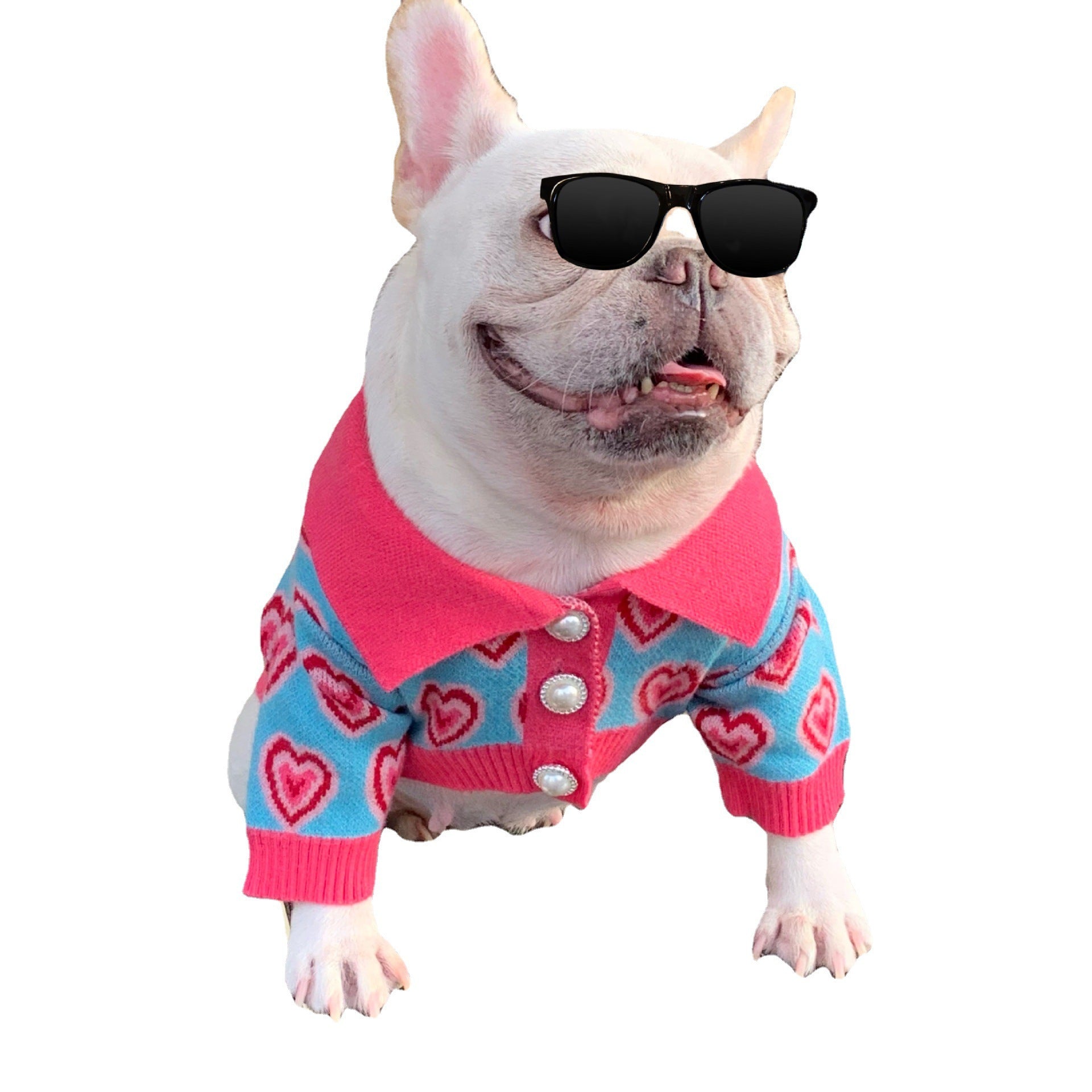 Pet Trendy Dog Sweater Cat French