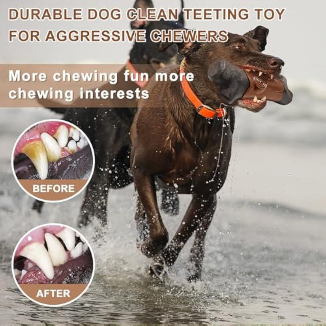 Tough Dog Toys For Aggressive